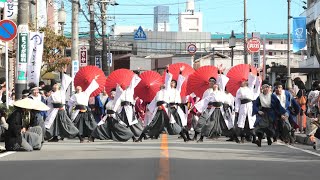 四季舞（結梅彩）  2018.10.7安濃津よさこい 新町通り会場