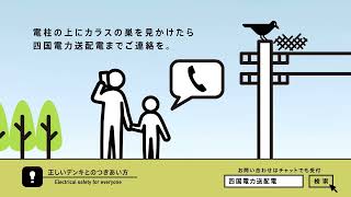 電柱の上にカラスの巣を見かけたら | 四国電力送配電CM