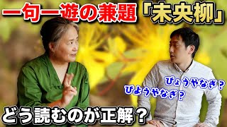 【一句一遊】兼題『未央柳』読み方は「びようやなぎ」「びょうやなぎ」？