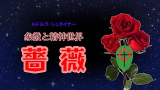 ルドルフ・シュタイナー「象徴と精神世界 / 薔薇」