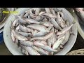 সিলেটের পাঠানটুলা মাছবাজার sylhet pathantula fish market