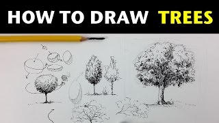 How to Draw Trees with Pen & Ink
