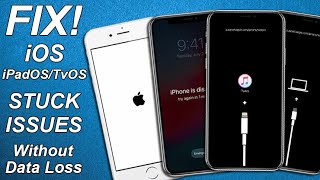 Fix iPhone Stuck In Recovery Mode/Boot Loop Without Data Loss |  Tenorshare ReiBoot Review
