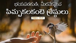 కల్వరి గిరి వరకు వెళ్లెను