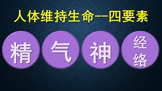 【黃帝內經】#如何解读“人体生命的精、气、神、经络” #認識養生之道 ｜有聲視頻｜