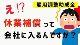 【休業補償 闇】雇用調整助成金 本人ではなく 会社 に入ります【新型コロナ 関連】｜ぴーすけのサードチャンネル