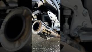 || Hayabusa lovers || Hayabusa dream bike || Hayabusa shorts || #shorts #shortsvideos