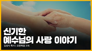 신기한 예수님의 사랑 이야기｜금요찬양기도회｜23.11. 24 [광교채플]