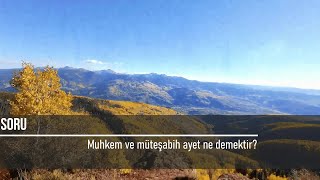 Muhkem ve müteşabih ayet ne demektir? (133)