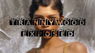 Zendaya Transvestigation