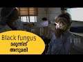 അഞ്ച് കമ്പനികൾ കൂടി Black fungus മരുന്ന് നിർമ്മാണത്തിൽ