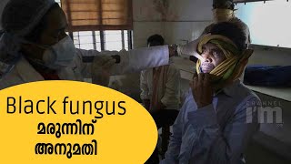 അഞ്ച് കമ്പനികൾ കൂടി Black fungus മരുന്ന് നിർമ്മാണത്തിൽ