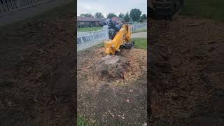 Carlton sp5014ntx in action. dandole de comer a la perrona.  stump grinder en acción