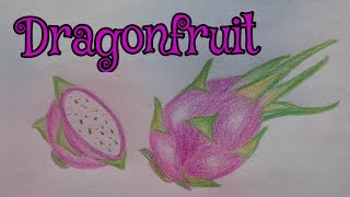How to draw Dragonfruit with pencil colours