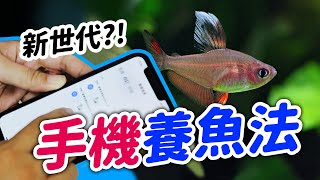 其實養魚不用這麼累！科技型懶人魚缸！