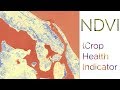 How to Calculate NDVI - Single Step  (Normalized difference vegetation index)