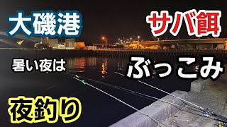 【大磯港】暑い夜はサバ餌ぶっこみ夜釣り 2023年7月下旬 小潮