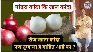 पांढरा कांदा लाल कांदा जाणून आश्चर्यचकित व्हाल - अतिशय गुणकारी उपयोग kanda Onion health benefits