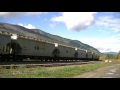 crazy eights cp 9353 east at notch hill sorrento bc 9 21 15