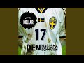 Den magiska sommaren (Inofficiell VM-låt)