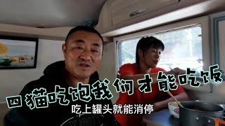 退休夫妻拖着房车带着四只流浪猫自驾到福建，大风天来到平潭岛包饺子【旅途99】