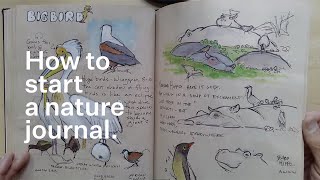 How to start a nature journal.