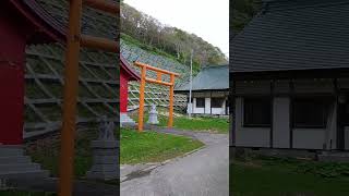 【日本最北端の神社】ノコノコ来た鹿がが草を食べていたんだ【北海道稚内市 北門神社】