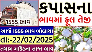 Kapas na bhav | 19-02-2025 | કપાસના ભાવ:2025 | Information about cotton crop price | Commodity Trend