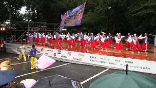 スーパーよさこい(2013/8/25) 「憂喜世桜」