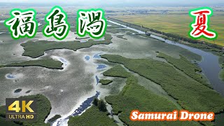 福島潟　夏　新潟県新潟市北区　７　【ドローン空撮 ４Ｋ絶景映像】　２０２３年０８月猛暑日