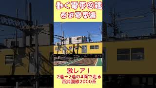 動く電車図鑑 西武電車編　激レア！2連×2の4両で走行の西武園線2000系 #shorts