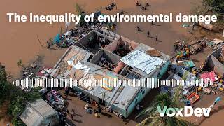 The inequality of environmental damage