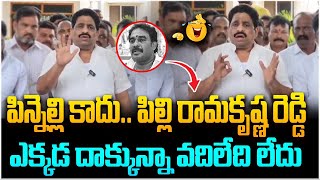 పిన్నెల్లి కాదు పిల్లి రామకృష్ణ రెడ్డి😂🤣 TDP Leader Buddha Venkanna Comments On Pinnelli Ramakrishna