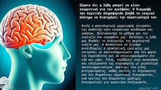 Braining.gr - Brain Fact #18: Ξέρατε ότι η λήθη...