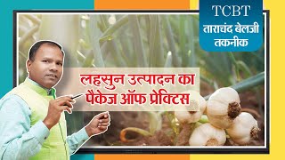 #tcbt लहसुन उत्पादन का पैकेज ऑफ प्रेक्टिस #organic #farming