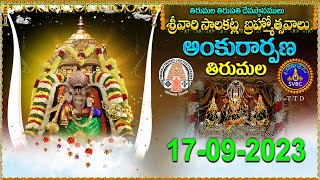 Srivari Salakatla Brahmotsavalu || Ankurarpanam || Tirumala || 17-09-2023 || SVBC TTD