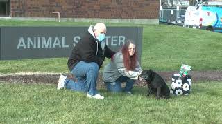 Reunited and it feels so good: Dog, owner reunited after three years apart