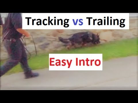 How to Train a Dog to Track (trail). An easy Intro (K9-1.com) How to Train a Dog to Track (trail). An easy Intro (K9-1.com)
