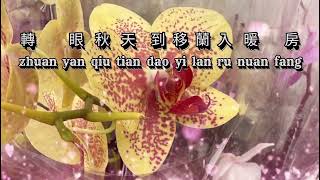 Xin lan hua cao [新蘭花草] versi vocal 人聲版  趙薇 - Zhao Wei