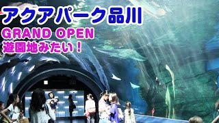 アクアパーク品川 行ってきました。東京で一番お勧め水族館！