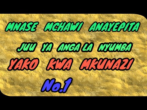 MAAJABU YA MTI WA MKUNAZI KATIKA ELIMU YA TIBA - YouTube