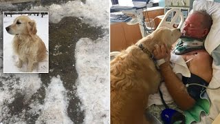 Dog Helps Keep Owner Alive After Paralyzing Fall Traps Him In Snow For 20 Hours