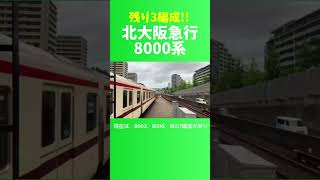 残り3編成‼️北大阪急行8000系 #電車 #train #鉄道 #大阪北部 #日本 #北大阪急行電鉄 #北大阪急行 #大阪 #桃山台 #世界の交通網探検隊 #撮り鉄 #大阪メトロ #御堂筋線