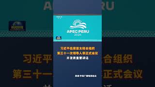 习近平出席亚太经合组织第三十一次领导人非正式会议并发表重要讲话