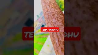 KITA TENU PYAR SI NARE | New Song Punjabi Status Video | Watsapp Status Video 2021