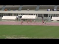 20150906 高校陸上新人戦広島地区大会 女子800m決勝