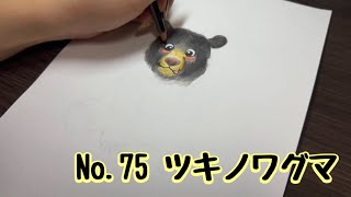 【マーレの動物図鑑100】No.75ツキノワグマ