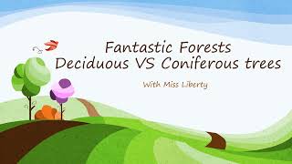 Fantastic Forests Difference Between Deciduous and Coniferous trees