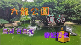 [香港遊系列]尖沙咀九龍公園 2024 百鳥苑 鳥湖  蓮苑 古裝片場景 大小紅鸛 麥當勞 麥記打卡 Kowloon Park