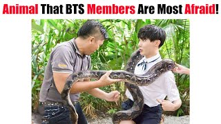 Animal That BTS Members Are Most Afraid!